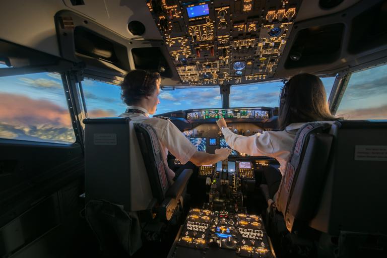 Flight Simulator 