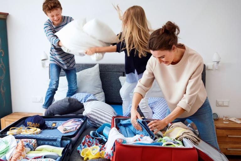 valise