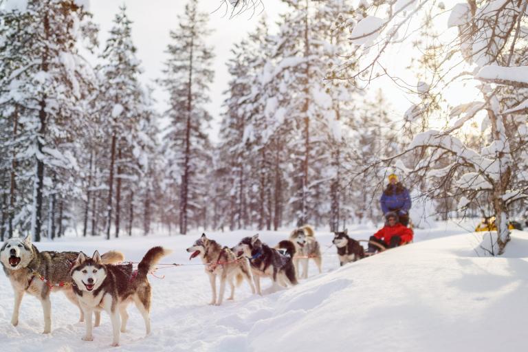 Teaser image for Alternatieve sneeuwvakantie in de lift